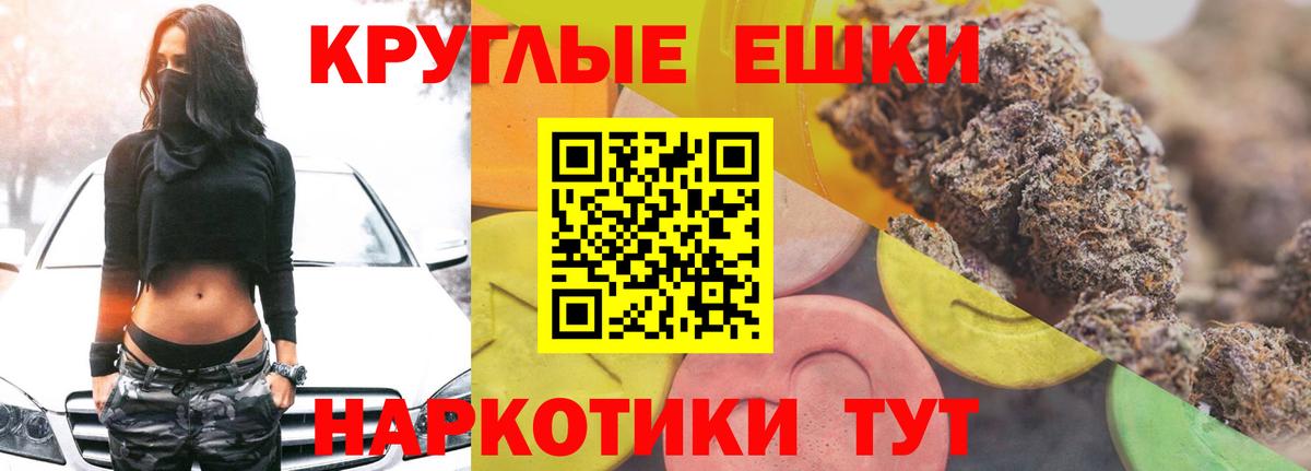 Мыски  ЭКСТАЗИ Philipp Plein  Вход с VPN  Ecstasy  Экстази TESLA 